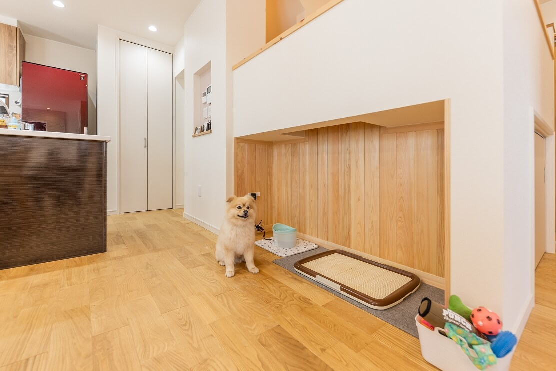 事例あり 愛犬家住宅の間取りの注意点 ポイントとは 新和建設のブログ