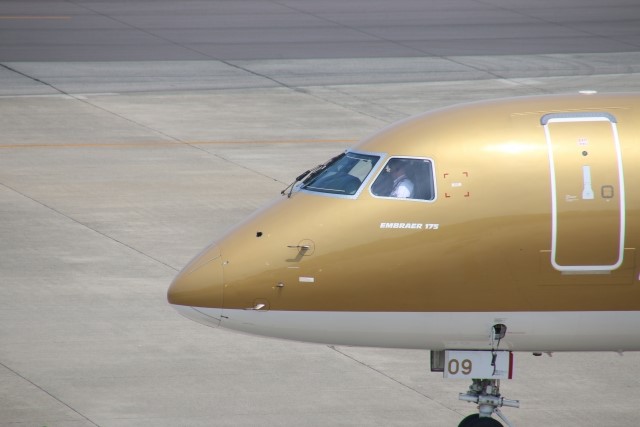 名古屋空港の飛行機