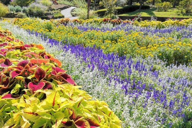 春日井市の植物園