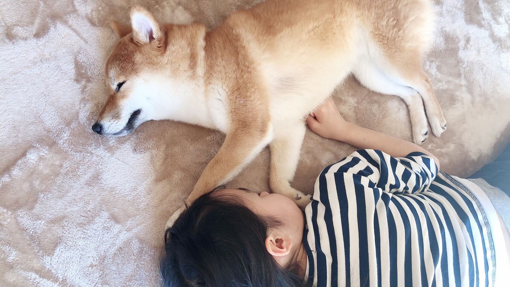 犬と子供が一緒に寝ている写真